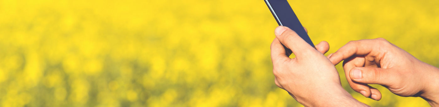 Publicada Newsletter 65