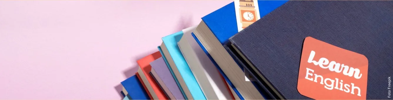 monte de livros inglês