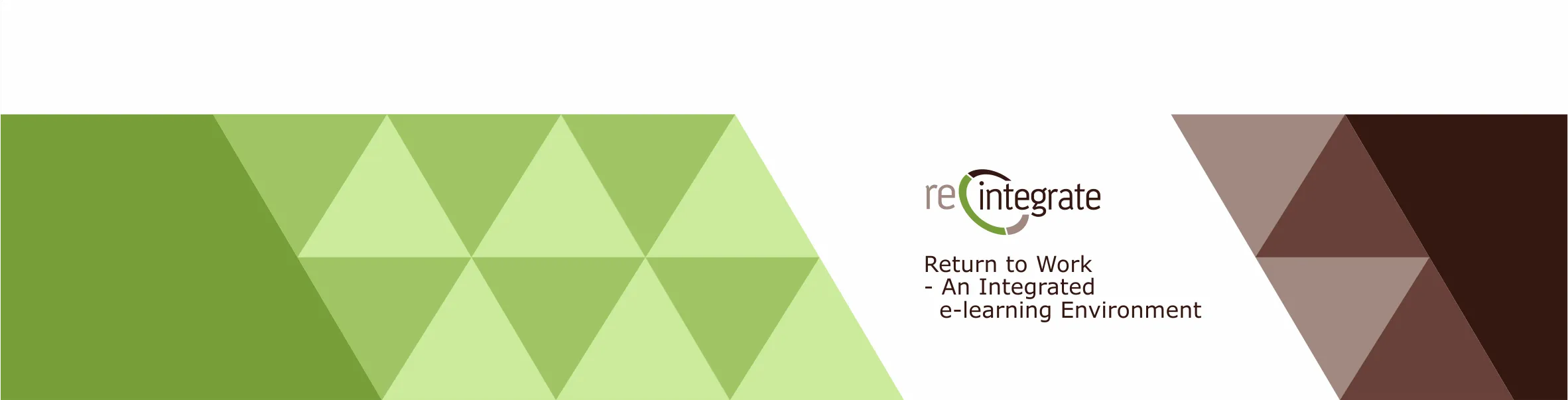 Re-integrate: Return to work – an integrated e-learning environment