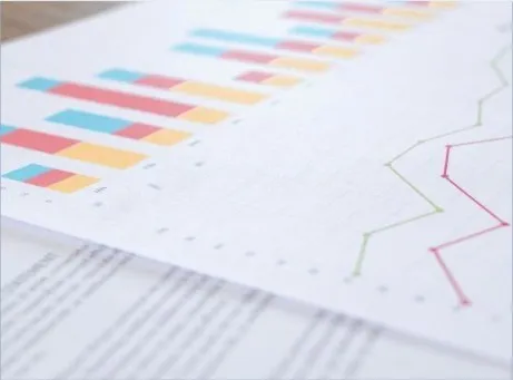 folhacom gráficos de barras e lineares