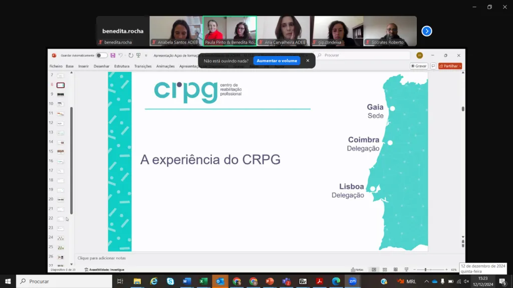 print screen do ecrã durante a apresentação online